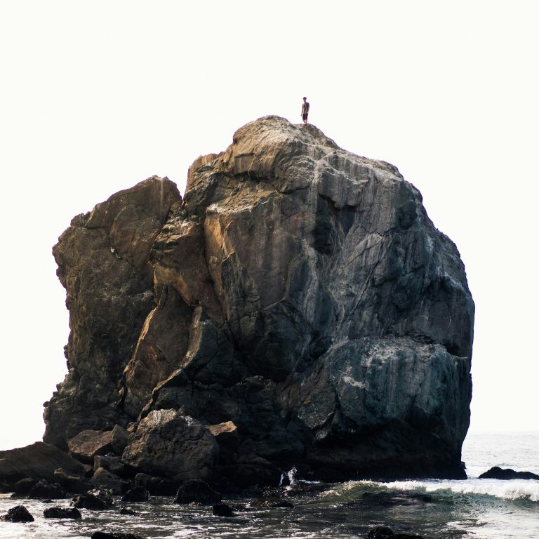 winggo-tse-jZ-t6RRv5ZE-unsplash